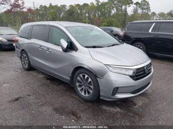  Salvage Honda Odyssey