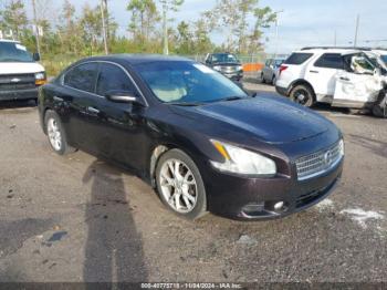  Salvage Nissan Maxima