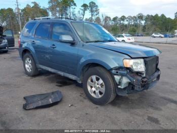  Salvage Ford Escape