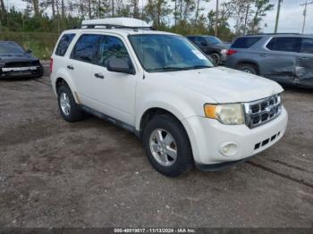  Salvage Ford Escape