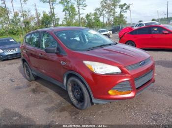  Salvage Ford Escape