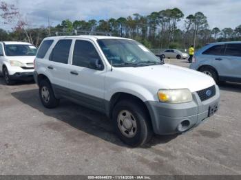  Salvage Ford Escape