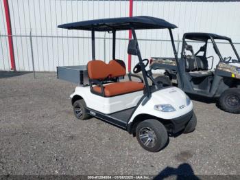  Salvage Icon Golf Cart