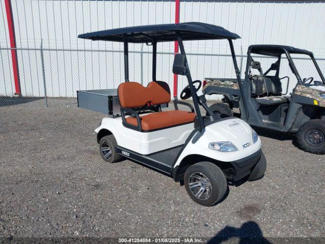  Salvage Icon Golf Cart