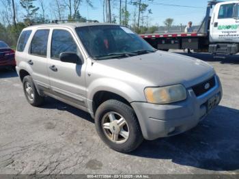  Salvage Ford Escape