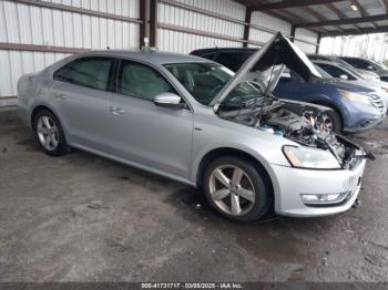  Salvage Volkswagen Passat