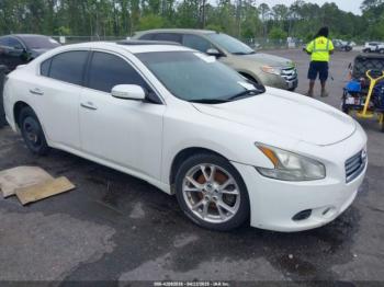  Salvage Nissan Maxima