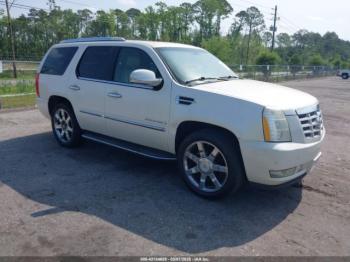  Salvage Cadillac Escalade