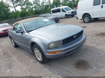  Salvage Ford Mustang