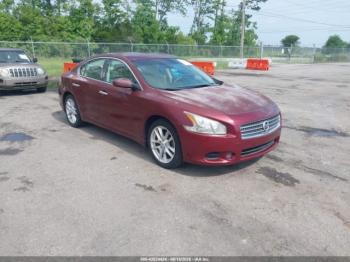  Salvage Nissan Maxima