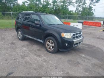  Salvage Ford Escape