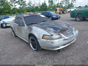  Salvage Ford Mustang