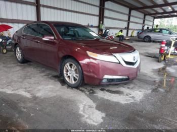  Salvage Acura TL