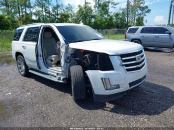  Salvage Cadillac Escalade