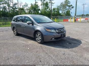  Salvage Honda Odyssey