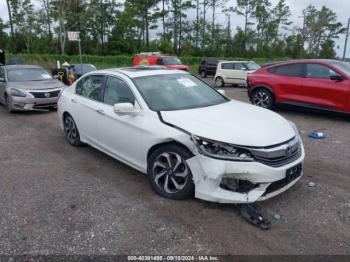  Salvage Honda Accord