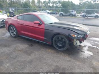  Salvage Ford Mustang