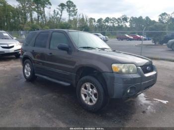  Salvage Ford Escape