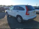 Honda CR-V Ex Image 9