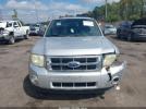 Ford Escape Xlt Image 15