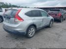 Honda CR-V Ex-l Image 3
