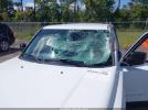 Jeep Patriot Latitude Image 5
