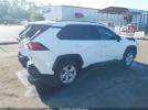 Toyota RAV4 Xle Image 10