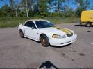 Ford Mustang Gt Image 1