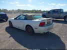 Ford Mustang Gt Image 7