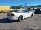 Ford Mustang Gt Image 4