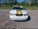 Ford Mustang Gt Image 9