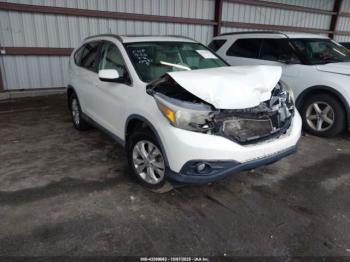  Salvage Honda CR-V