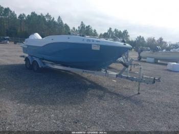  Salvage Crownline Other