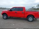 Ford F-150 Xlt Image 13
