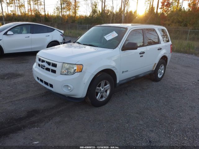 Ford Escape Image 6