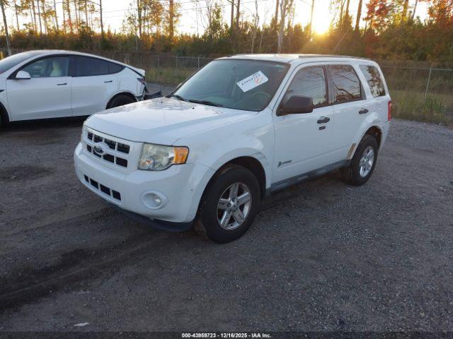 Ford Escape Image 6
