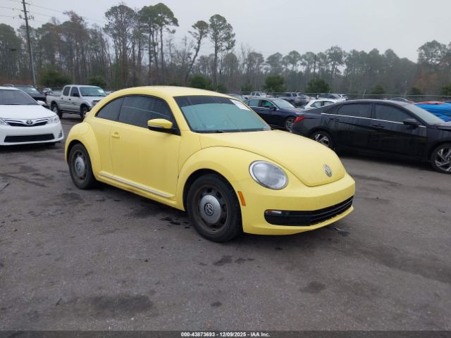 Volkswagen Beetle 1.8t Se Image 1