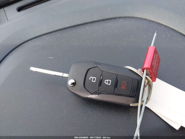 Ford Maverick Xl Image 3