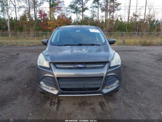 Ford Escape Se Image 7