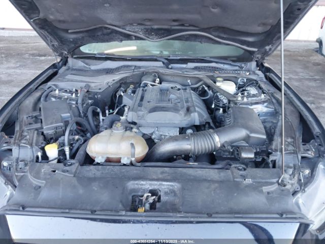 Ford Mustang Ecoboost Image 8