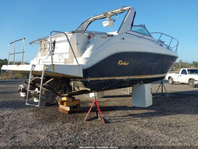 Rinker Other Image 7