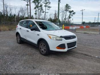  Salvage Ford Escape