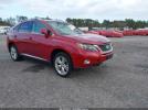 Lexus RX Image 1