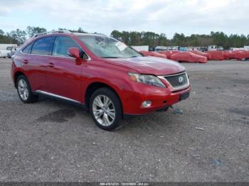  Salvage Lexus RX