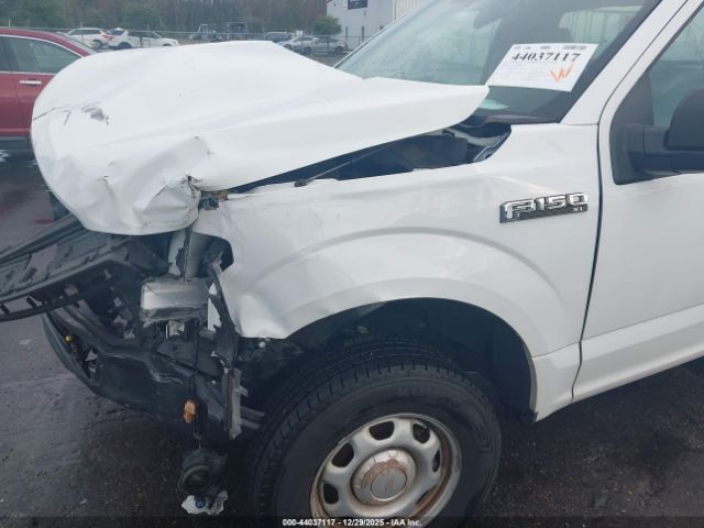 Ford F-150 Xl Image 7