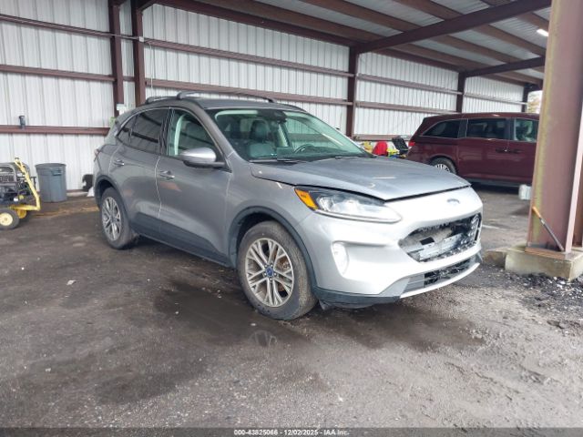 Ford Escape Sel Image 1