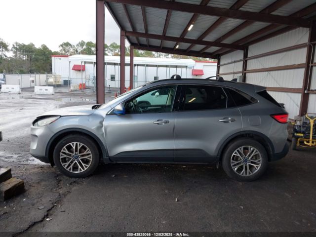 Ford Escape Sel Image 4