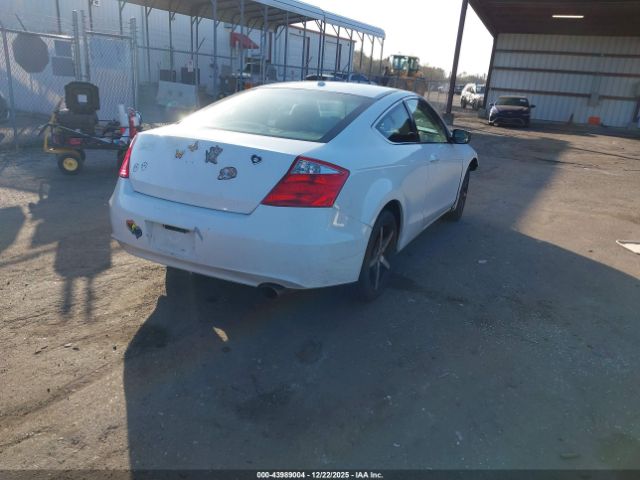 Honda Accord 2.4 Ex-l Image 5