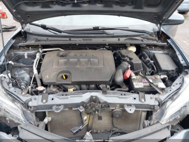 Toyota Corolla Le Image 6