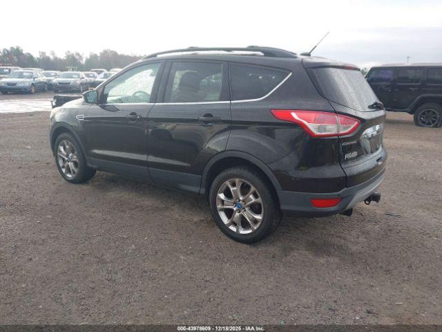Ford Escape Sel Image 3